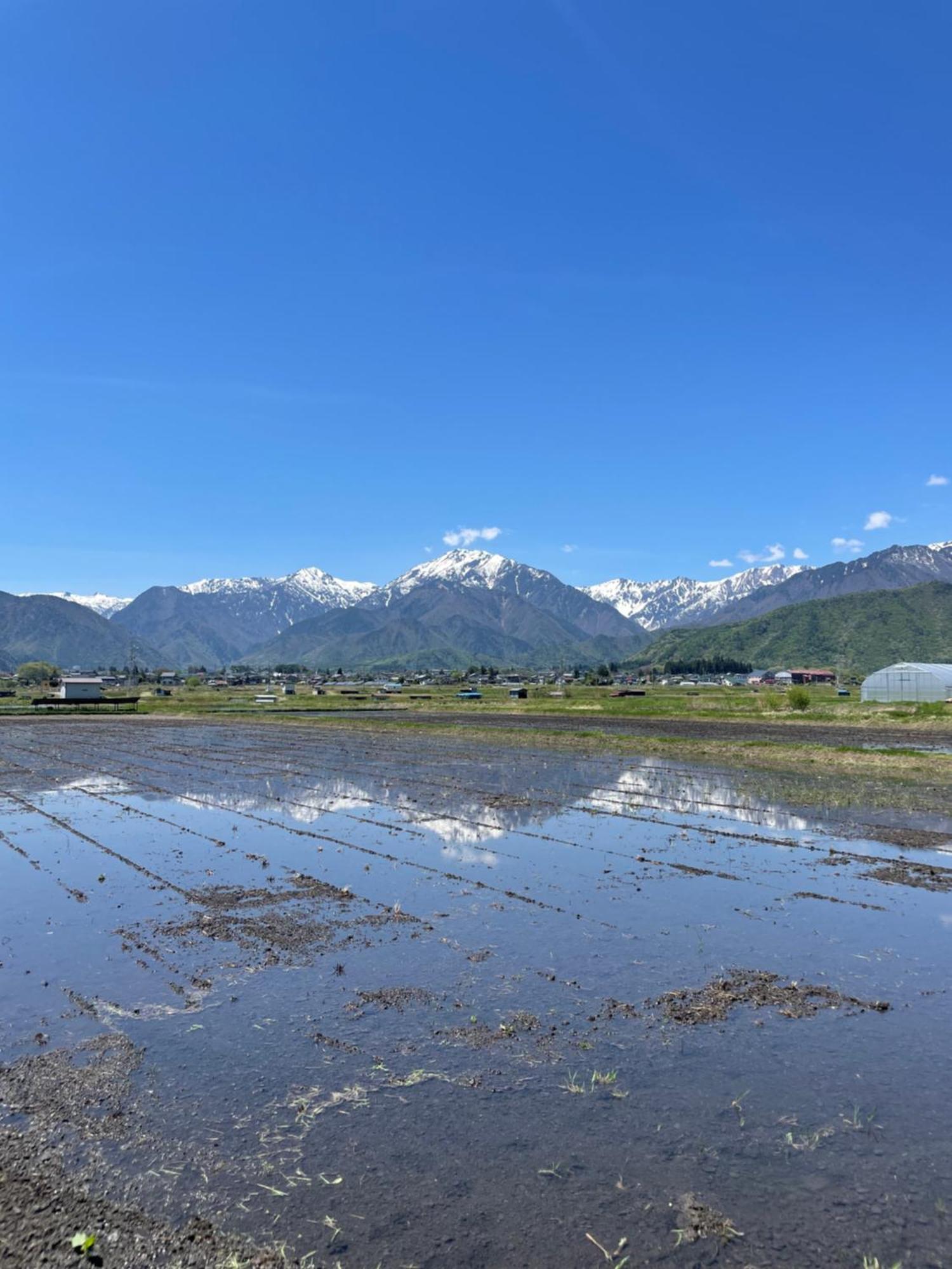 北アルプス麓のゲストハウス林屋 Omacsi Kültér fotó